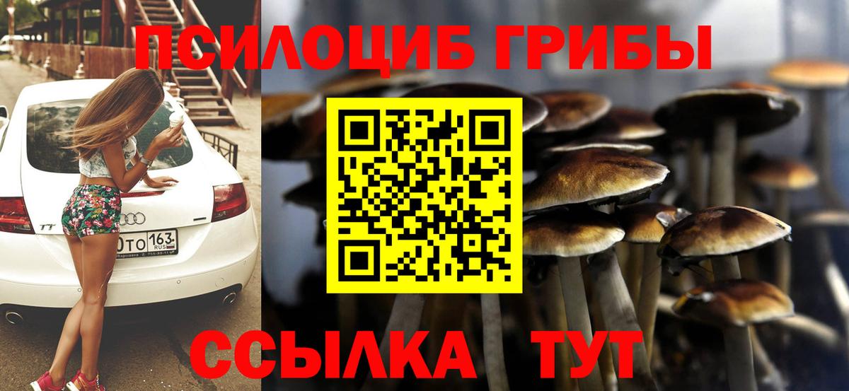 Галлюциногенные грибы Psilocybine cubensis  Вход с VPN  Сунжа  Псилоцибиновые грибы Magic Shrooms 